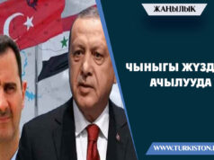 Чыныгы жүздөр ачылууда