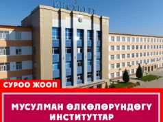 Мусулман өлкөлөрүндөгү институттар